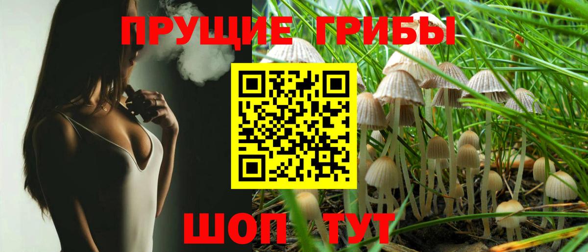 Галлюциногенные грибы прущие грибы Удомля