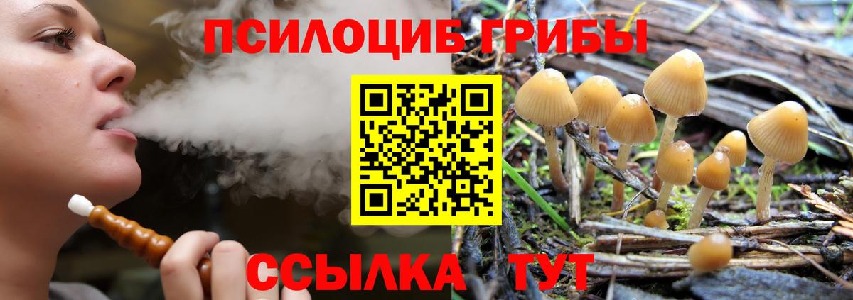 Удомля  Псилоцибиновые грибы Magic Shrooms  Вход с VPN 